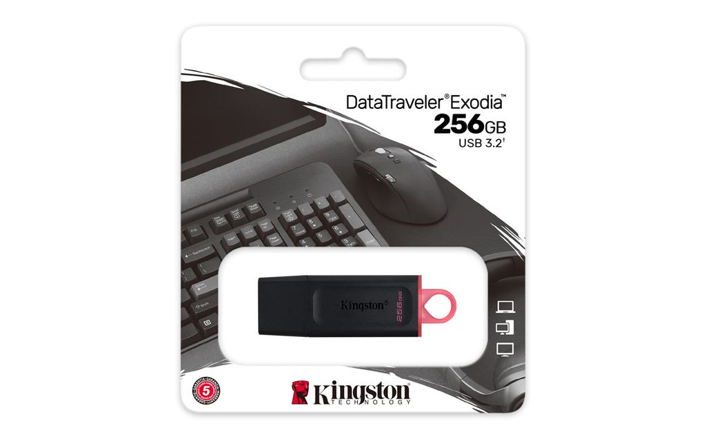 USB flash Kingston UFD 256GB DTX KIN