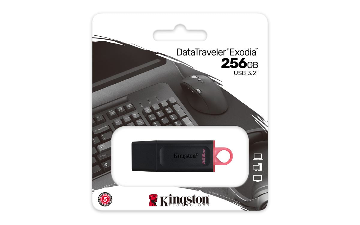 USB flash Kingston UFD 256GB DTX KIN
