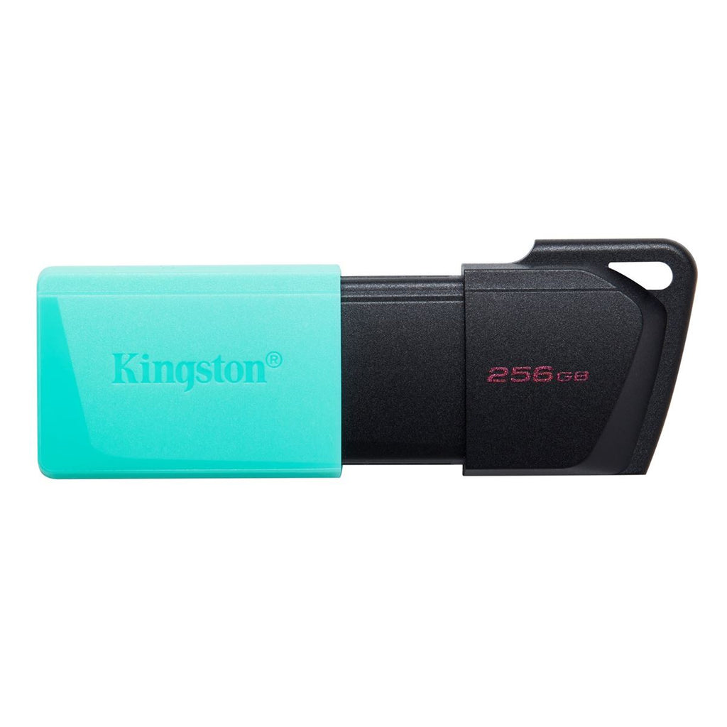 USB flash Kingston UFD 256GB DTXM KIN
