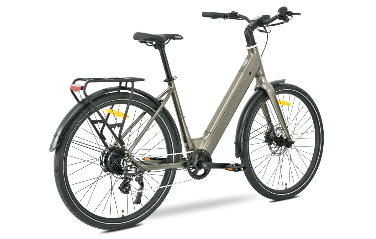 Električni bicikl MS ENERGY ENERGY eBike Zorya bronze_REG
