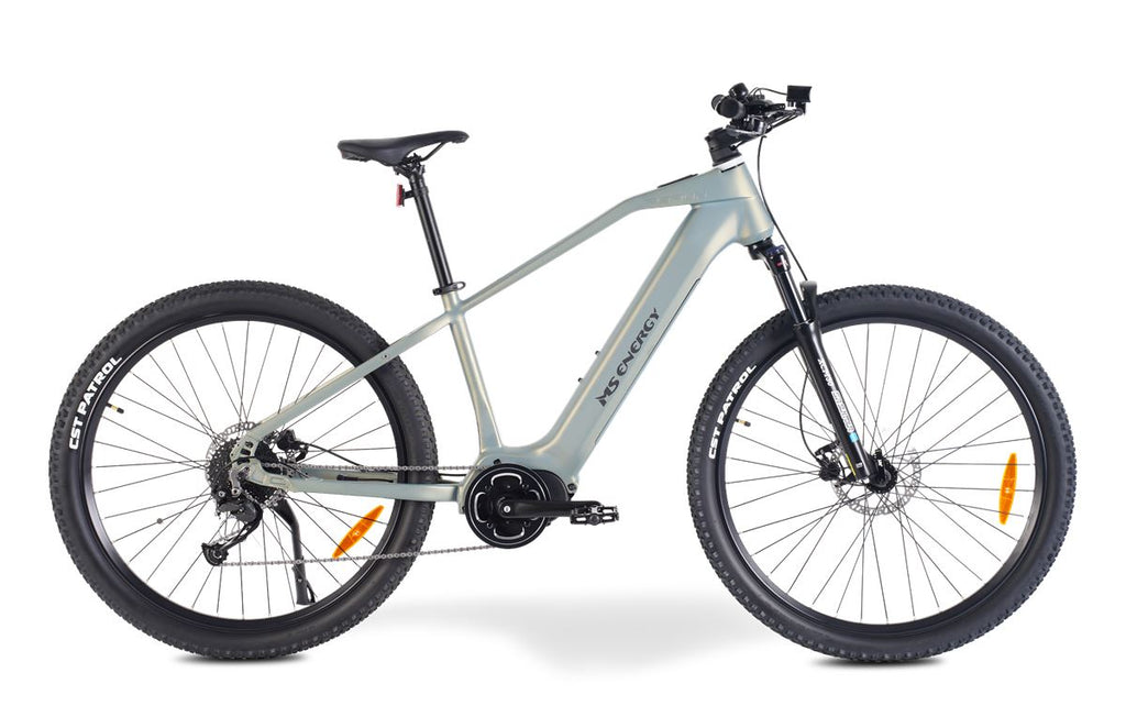 Električni bicikl MS ENERGY ENERGY eBike Perun special gold_REG